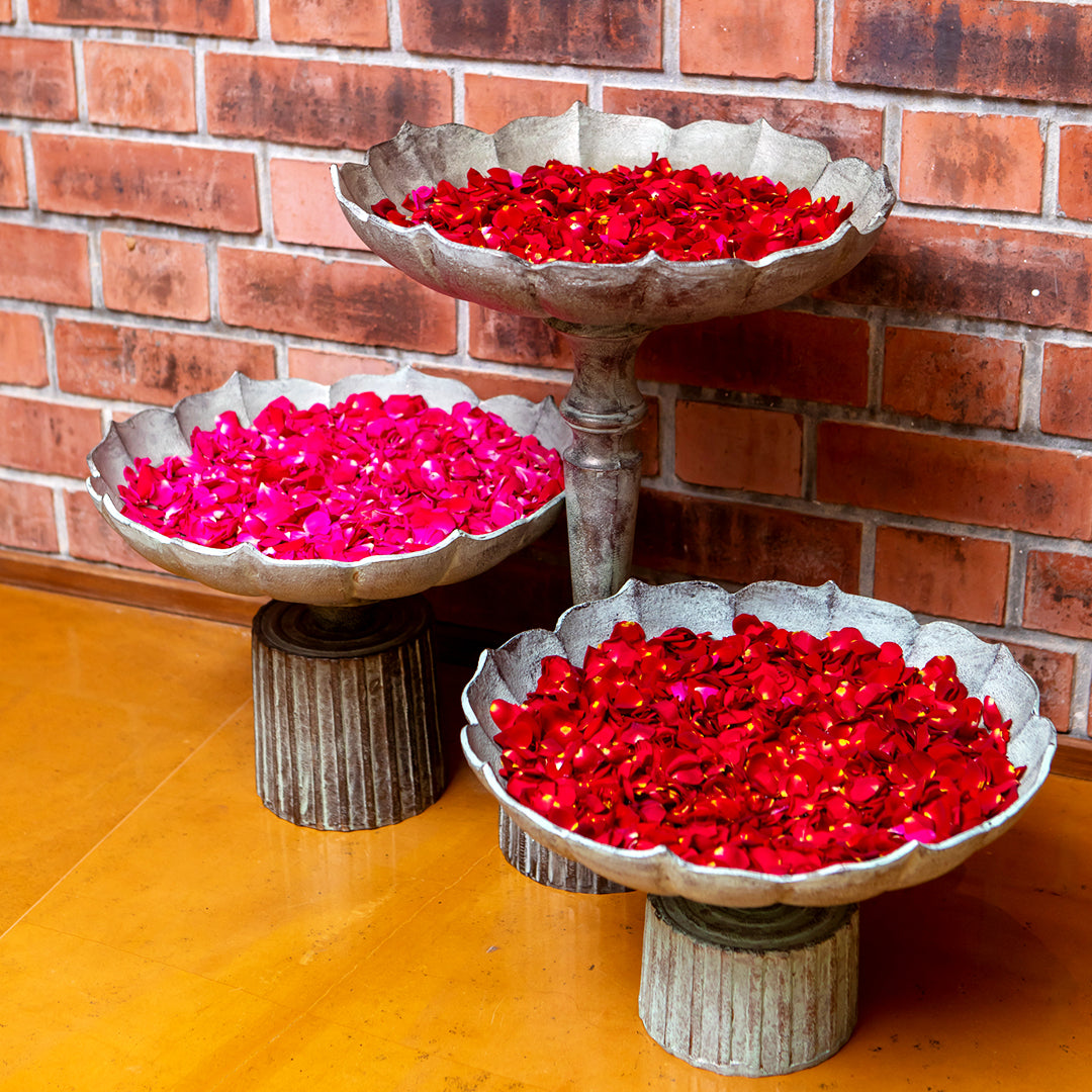 Lotus Garden Urli small