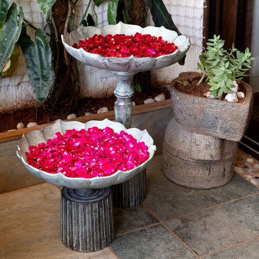 Lotus Garden Urli M